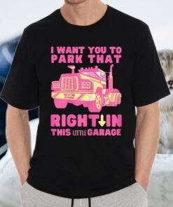 Big Wap Truck Fun Adult Idea T-Shirts