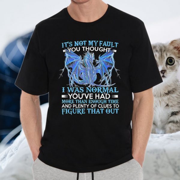 Dragon It's Not My Fault You Thought Normal T-Shirts