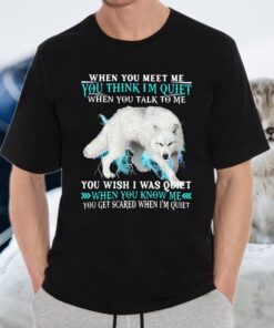 When You Meet Me You Think I'm Quiet You Wish I Was Quiet When You Know Me T-Shirt