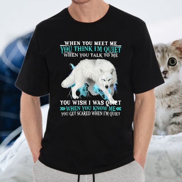 When You Meet Me You Think I'm Quiet You Wish I Was Quiet When You Know Me T-Shirt