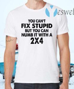 You Can’t Fix Stupid But You Can Numb It With A 2×4 T-Shirts