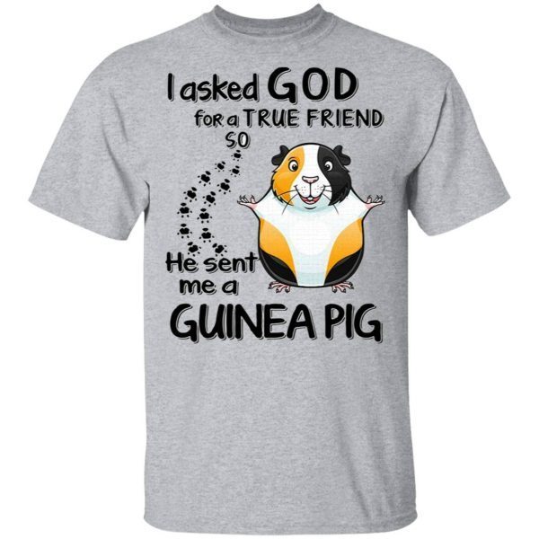 I asked God for a true friend so he sent me a Guinea Pig T-Shirt