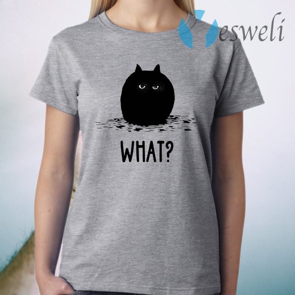 Black Cat Fat What T-Shirt