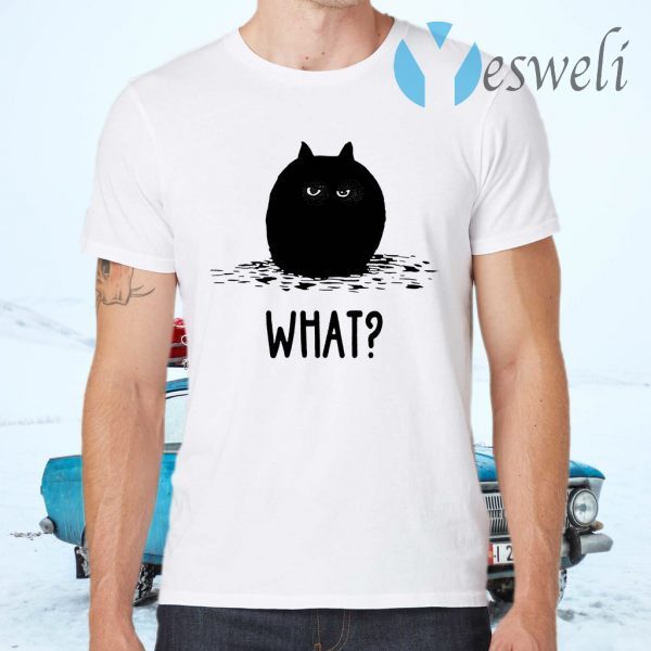 Black Cat Fat What T-Shirts