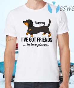 Dachshund Sassy I’ve Got Friends In Low Places T-Shirts