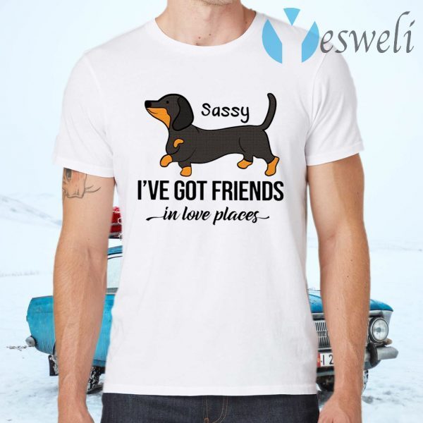 Dachshund Sassy I’ve Got Friends In Low Places T-Shirts