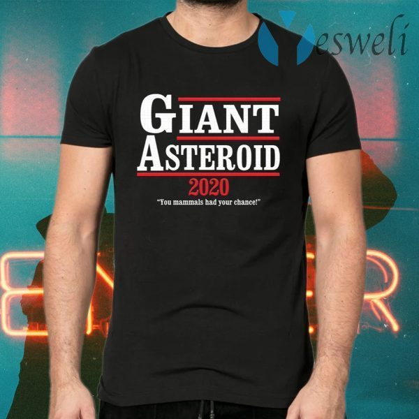 Giant Asteroid 2020 T-Shirts