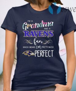 I'm a Grandma and a Ravens fan which means I'm pretty much perfect T-Shirt