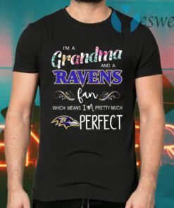 I'm a Grandma and a Ravens fan which means I'm pretty much perfect T-Shirts