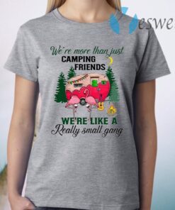 We Are More Than Just Camping Friends We’re Like A Really Small Gang T-Shirt