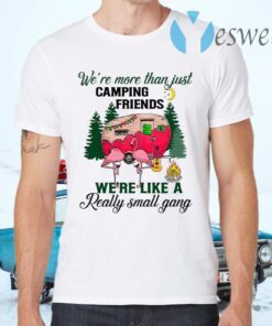 We Are More Than Just Camping Friends We’re Like A Really Small Gang T-Shirts