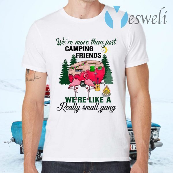 We Are More Than Just Camping Friends We’re Like A Really Small Gang T-Shirts