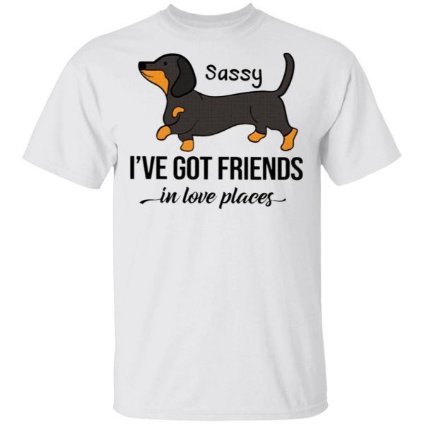 Dachshund Sassy I’ve Got Friends In Low Places T-Shirt