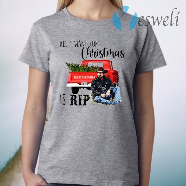 All I Want For Christmas Is Rip T-Shirt