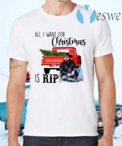 All I Want For Christmas Is Rip T-Shirts