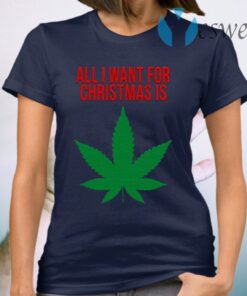 All I Want For Christmas T-Shirt