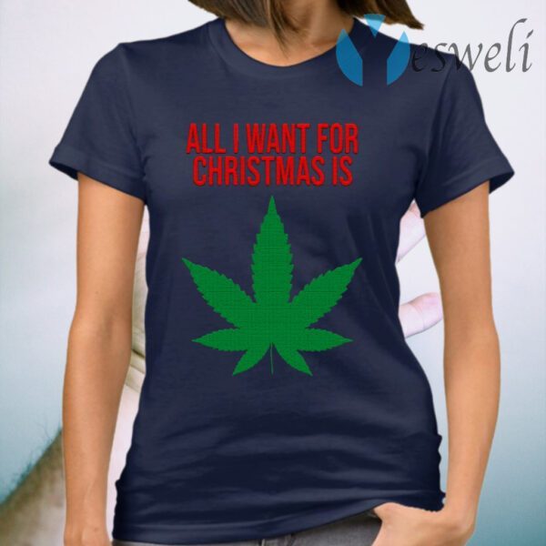 All I Want For Christmas T-Shirt