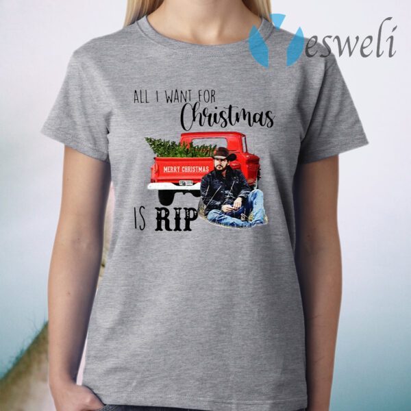 All I want for Christmas is Rip Christmas T-Shirt