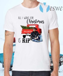 All I want for Christmas is Rip Christmas T-Shirts