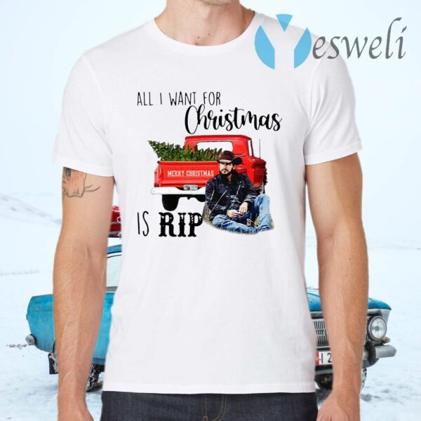 All I want for Christmas is Rip Christmas T-Shirts