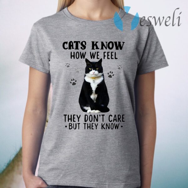 Cats Know How We Feel They Don't Care But They Know T-Shirt