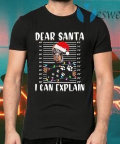 Doberman Dear Santa I can Explain Christmas T-Shirts