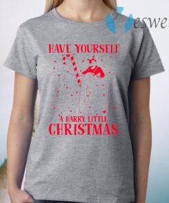 Have Yourself A Harry Little Christmas T-Shirt