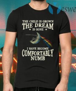 The Child Is Grown The Dream Is Gone I Have Become Comfortably Numb T-Shirts