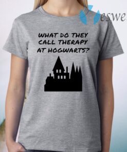 What do they call therapy at Hogwarts Harry Potter T-Shirt