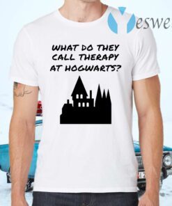 What do they call therapy at Hogwarts Harry Potter T-Shirts