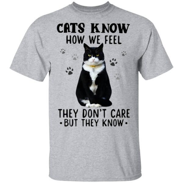 Cats Know How We Feel They Don’t Care But They Know T-Shirt