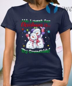 All I Want For Christmas Is My Grandkids Cute Snowman T-Shirt