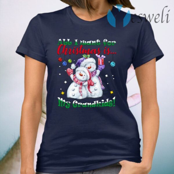 All I Want For Christmas Is My Grandkids Cute Snowman T-Shirt