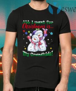 All I Want For Christmas Is My Grandkids Cute Snowman T-Shirts