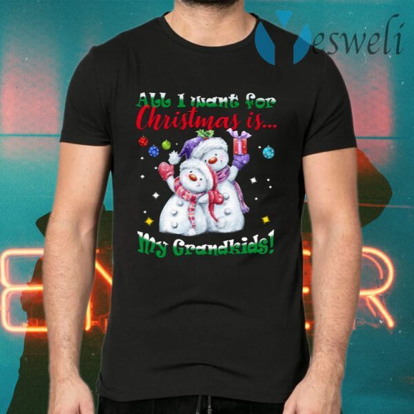 All I Want For Christmas Is My Grandkids Cute Snowman T-Shirts