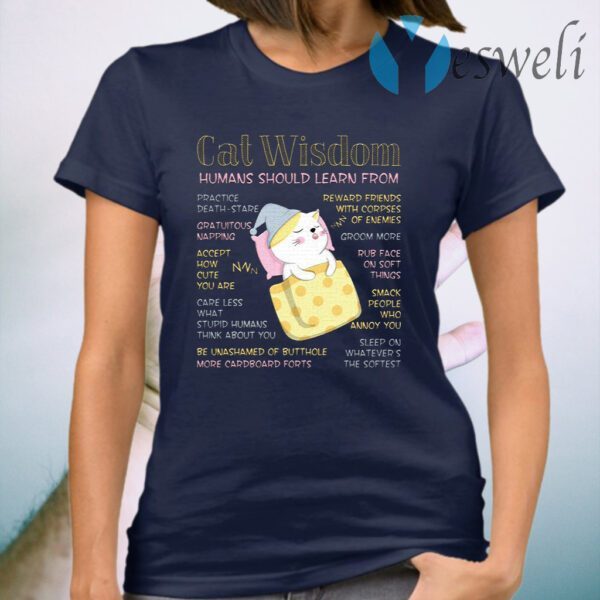 Cat Wisdom Human Should Learn From T-Shirt