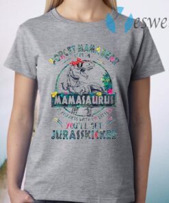 Dinosaurs Forget Mama Bear I’m A Mamasaurus T-Shirt