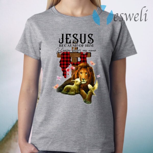 Jesus Because Of Him Heaven Knows My Name T-Shirt