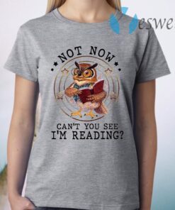 Not Now Can’t You See I’m Reading T-Shirt