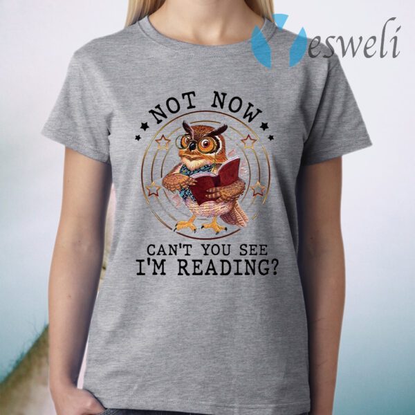 Not Now Can’t You See I’m Reading T-Shirt