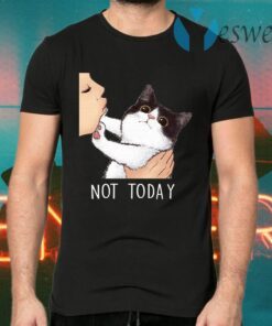 Not Today No Kisses Cat T-Shirts