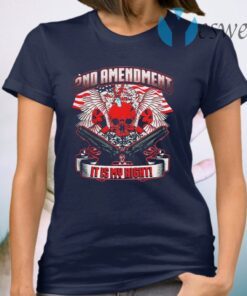 Skull 2nd Amendment It’s My Right T-Shirt