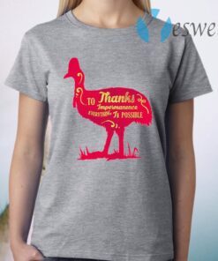 To Thanks Impermanence Everything Is Possible T-Shirt