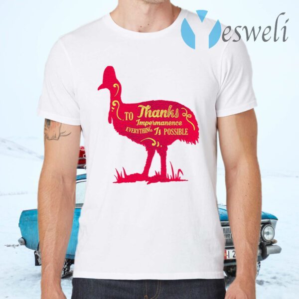 To Thanks Impermanence Everything Is Possible T-Shirts