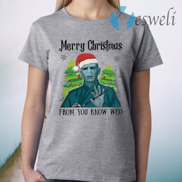 Voldemort Hat Santa Merry Christmas From You Know Who T-Shirt