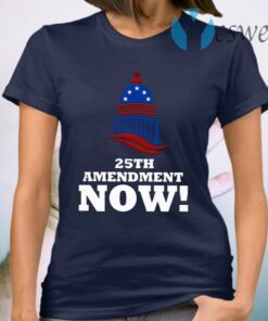 25th Amendment Now Remove Trump from Office T-Shirt