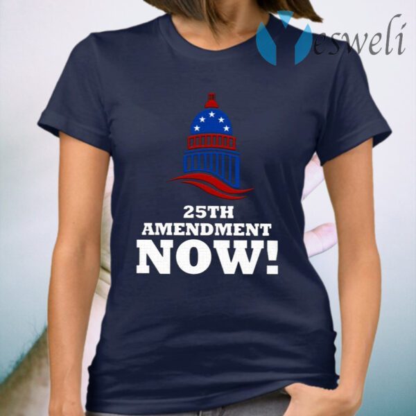 25th Amendment Now Remove Trump from Office T-Shirt