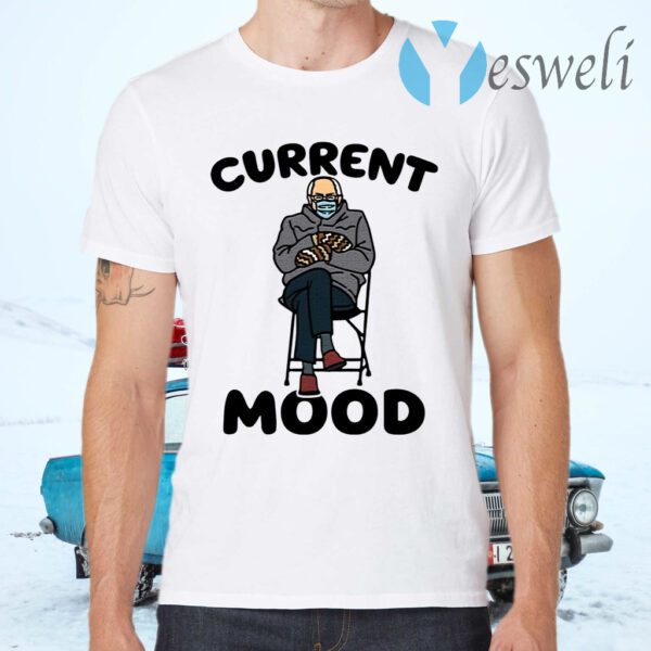 Bernie Sanders current mood T-Shirt