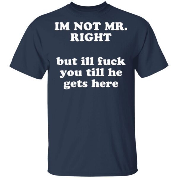 I am not Mr Right but I will fuck you till he gets here T-Shirt