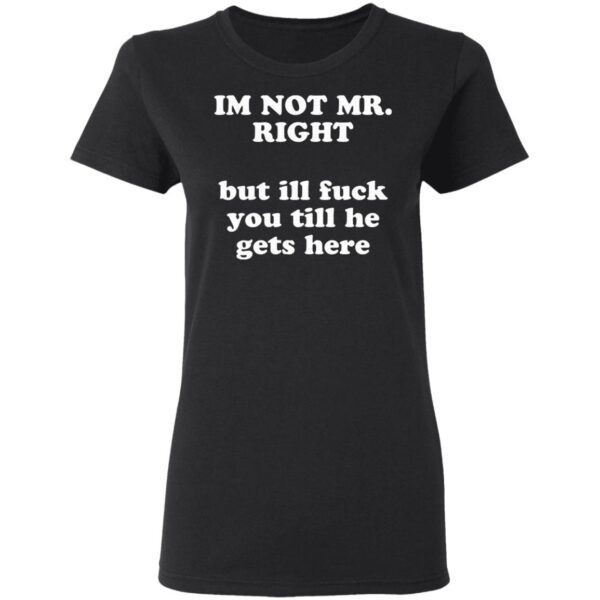 I am not Mr Right but I will fuck you till he gets here T-Shirt